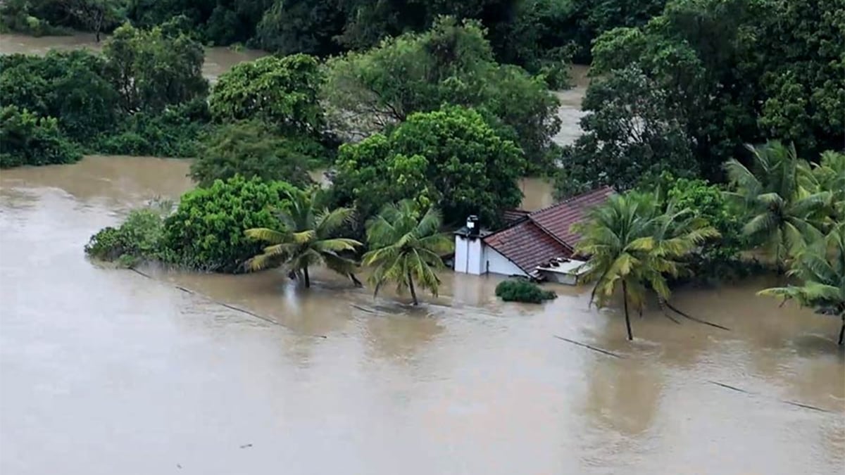 ঘূর্ণিঝড় ‘ডিটওয়াহ’র প্রভাবে বিপর্যস্ত শ্রীলংকা, নিহত ৫৬
