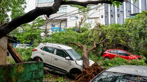 বুধবার ভোরে ভারতের অন্ধ্রপ্রদেশে আঘাত হানা ঘূর্ণিঝড় অর্ণবের তাণ্ডবে বিপুল পরিমাণ গাছ উপড়ে পড়ে। ছবি: সংগৃহীত