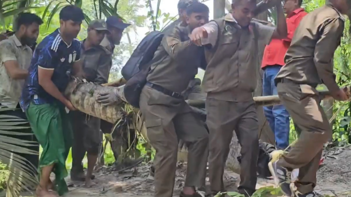 The famed crocodile of Khan Jahan Ali’s shrine is now in Forest Department custody