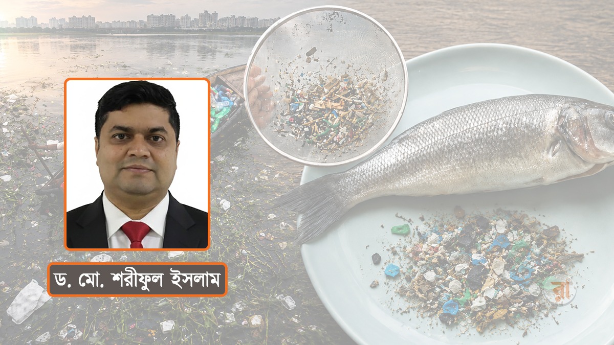 নদী থেকে থালায়— মাইক্রোপ্লাস্টিকের নীরব আগ্রাসনে বাংলাদেশ