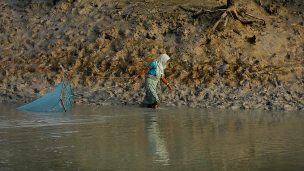 Why is India turning to crocodiles and snakes to ‘fence’ Bangladesh border_ (3)