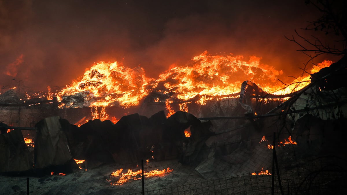 Wildfire-In-Greece-07-07-2026