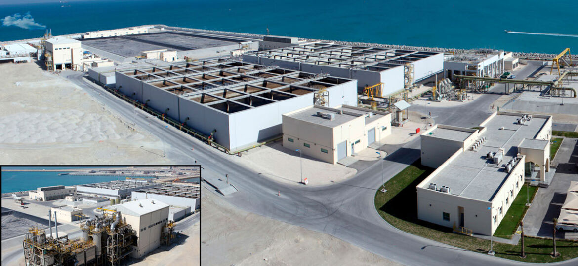 bahrain-plant