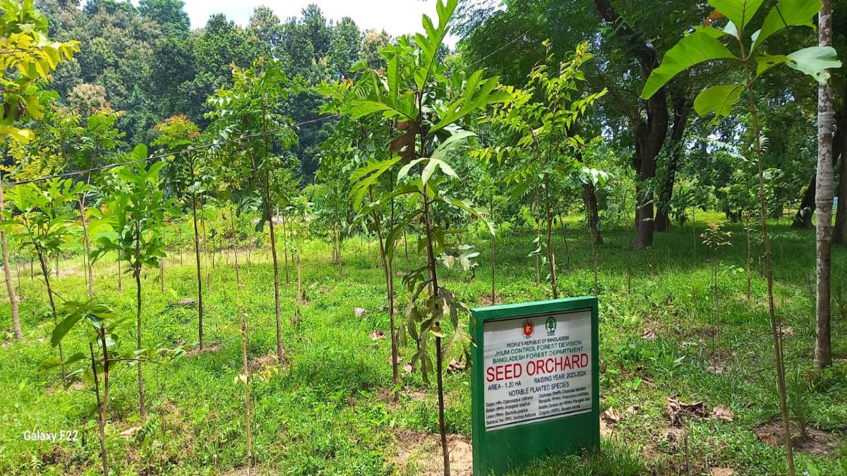 বিলুপ্তপ্রায় গাছ সংরক্ষণ