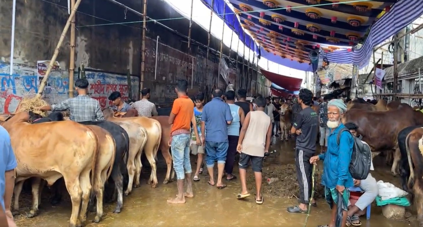 কেরানীগঞ্জ পশুর হাট