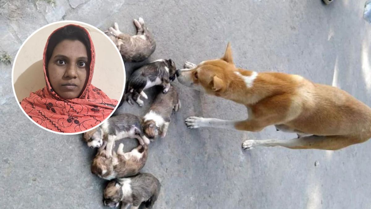 pabna-arrest-
