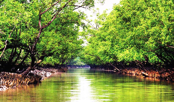 সুন্দরবন