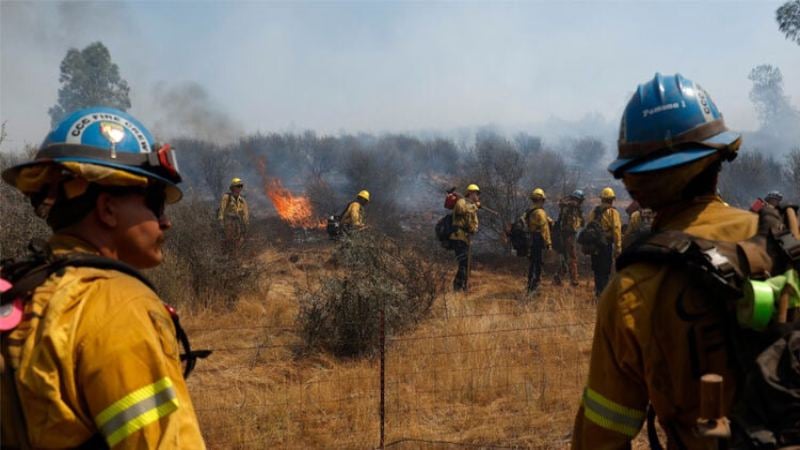 wildfire-