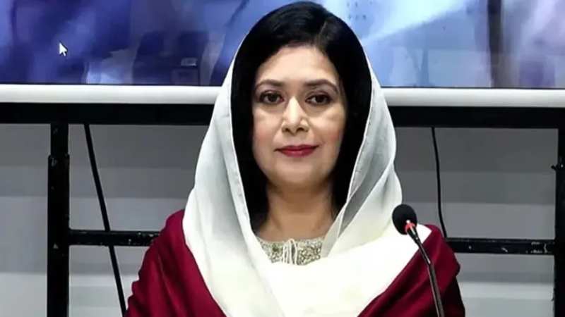 স্বাস্থ্য খাতে বহু বছর ধরে অবহেলা, জবাবদিহিতার অভাব: জুবাইদা রহমান